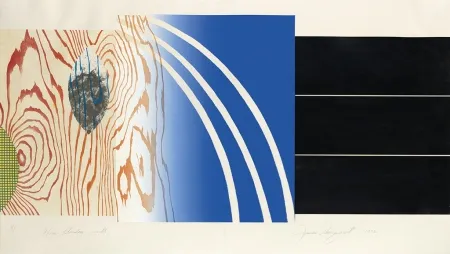 Litografía Rosenquist - Horse Blinders (North)