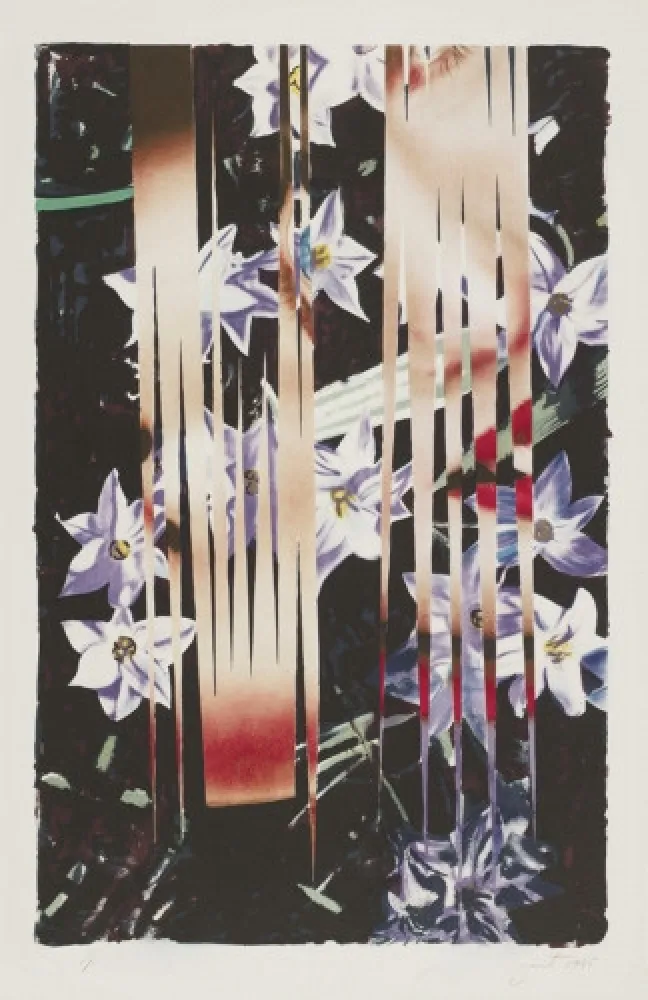 Litografía Rosenquist - Night Transitions