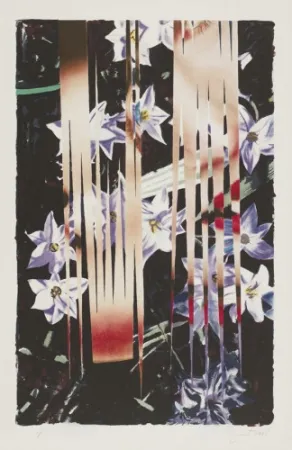 Litografía Rosenquist - Night Transitions
