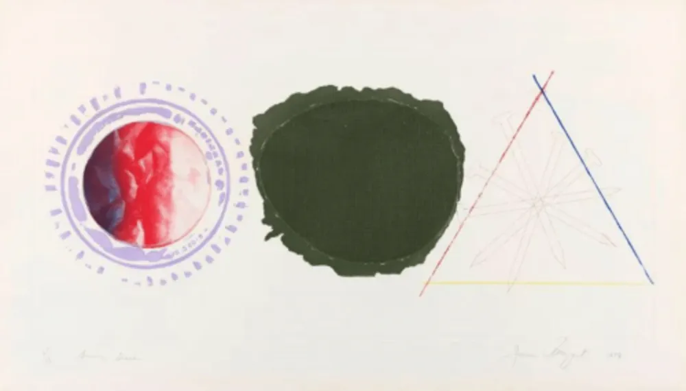 Aguafuerte Y Aguatinta Rosenquist - Swing Screen