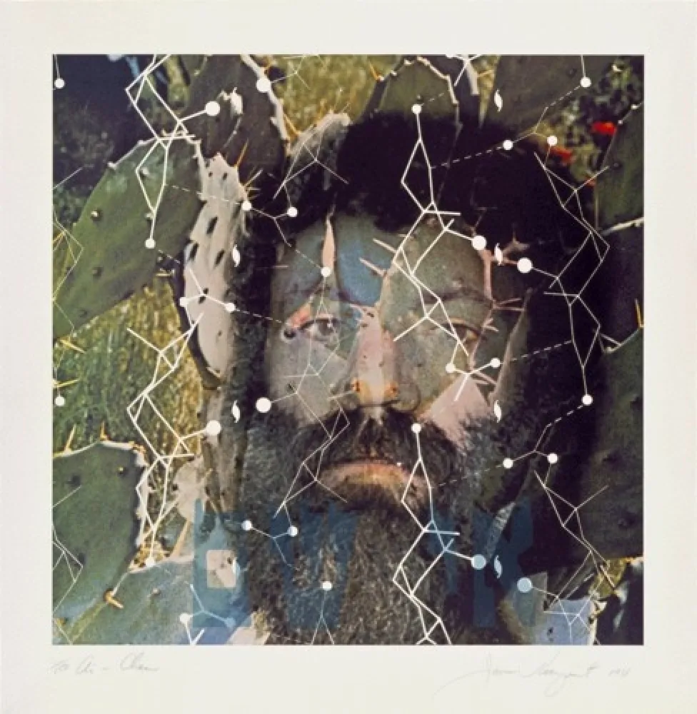 Litografía Rosenquist - The