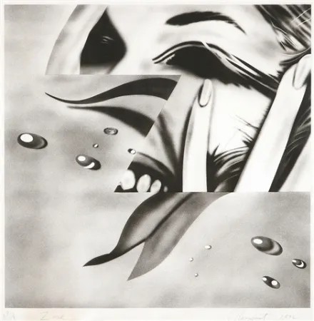Litografía Rosenquist - Zone