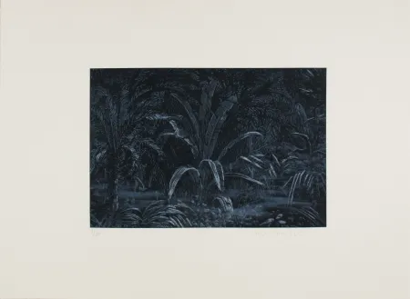 Aguafuerte Roy-Camille - Le remplissage des blancs sur la carte