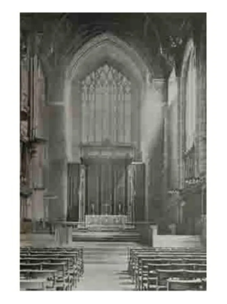 Múltiple Ruff - Jpegs 2006