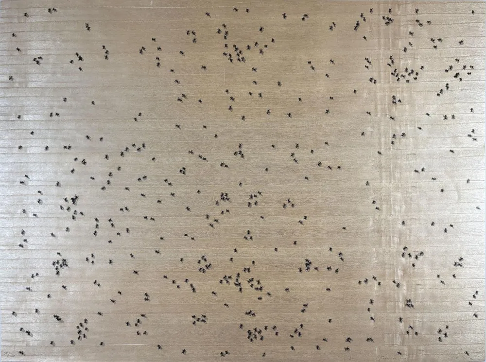 Serigrafía Ruscha - Black Ants from the Insects Portfolio