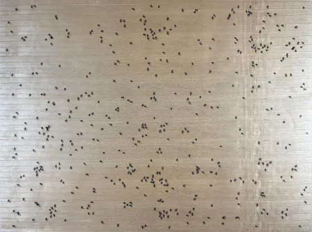 Serigrafía Ruscha - Black Ants from the Insects Portfolio