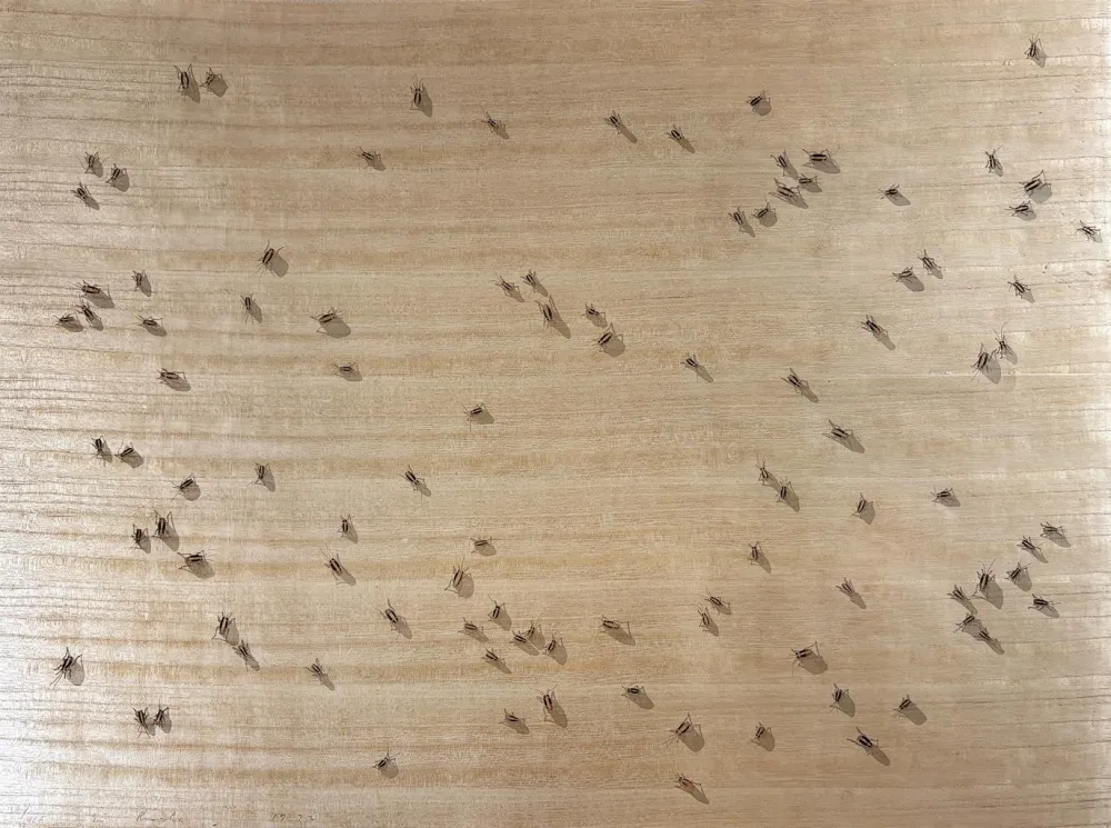 Serigrafía Ruscha - Cockroaches from the Insects Portfolio