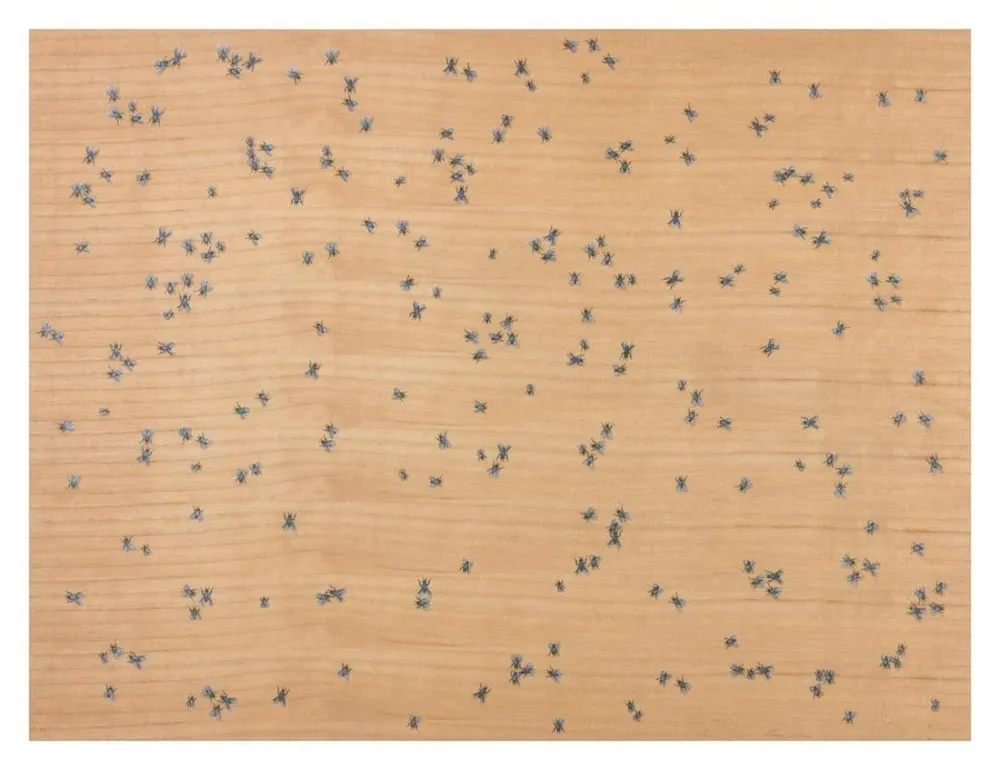 Múltiple Ruscha - Flies