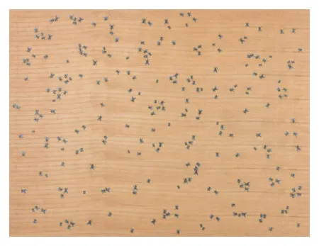 Múltiple Ruscha - Flies