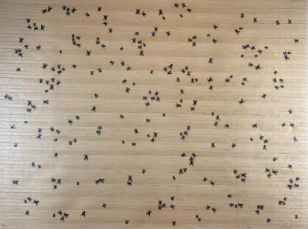 Serigrafía Ruscha - Flies from the Insects Portfolio