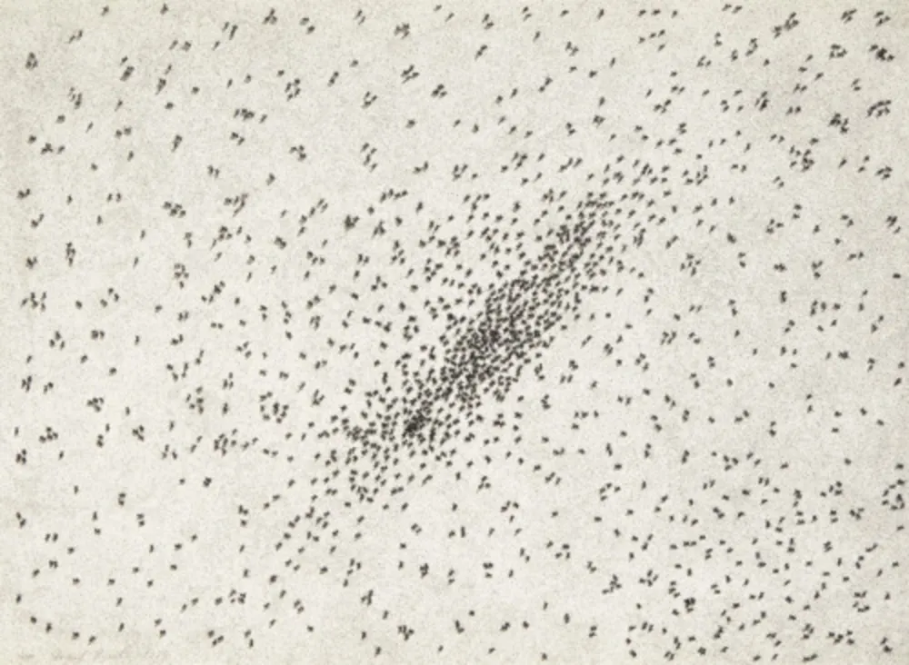 Múltiple Ruscha - Insect Slant (Ants) (from Reality & Paradoxes)