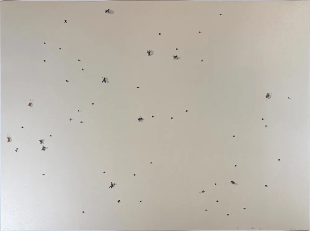Serigrafía Ruscha - Pearl Dust Combination from the Insects Portfolio