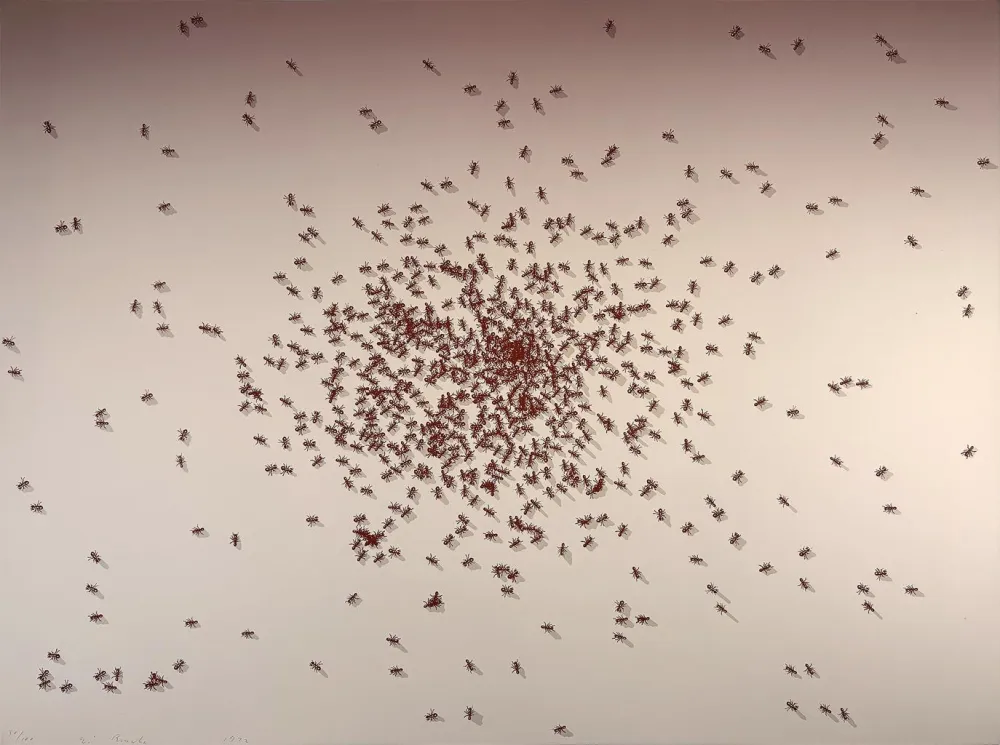 Serigrafía Ruscha - Swarm of Red Ants from the Insects Portfolio