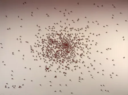 Serigrafía Ruscha - Swarm of Red Ants from the Insects Portfolio