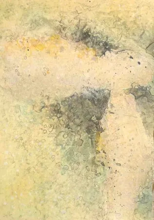 Grabado Salinas - Dalet I