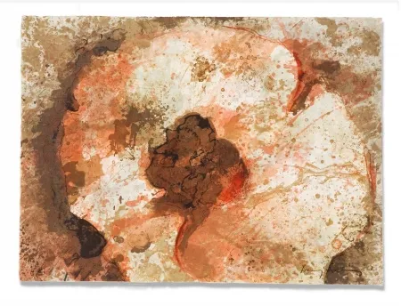 Grabado Salinas - Hongo