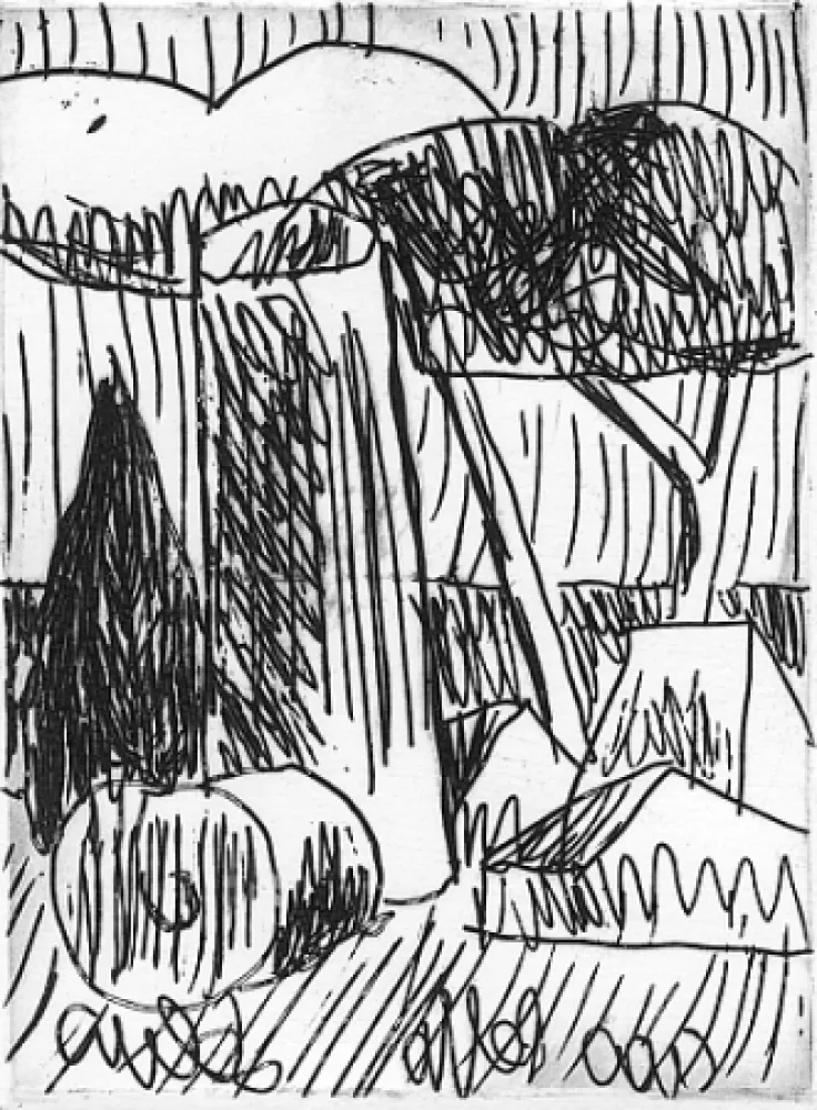 Libro Ilustrado Salvo - Nascere due volte