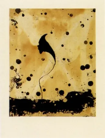 Grabado Santibañez - Flor