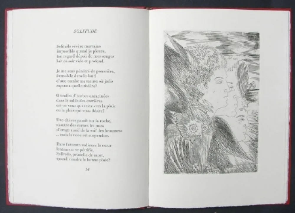 Libro Ilustrado Sassu - Page blanche beau desert