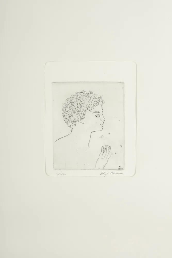 Punta Seca Sassu - Testa di Argonauta