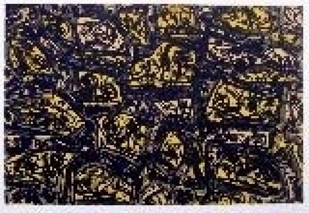 Litografía Saura - Kafka 4