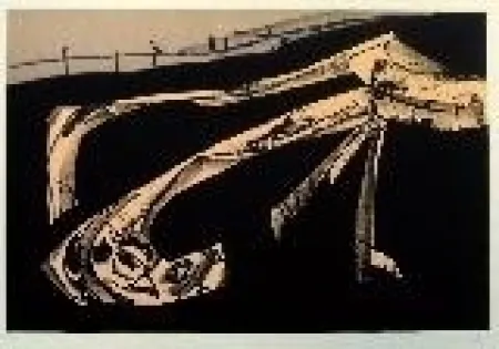 Litografía Saura - Kafka 6