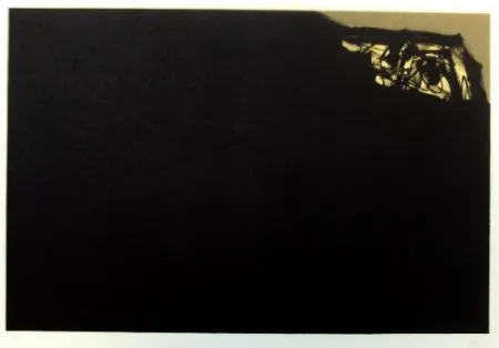 Litografía Saura - Kafka