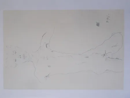 Litografía Schiele - Standing male nude