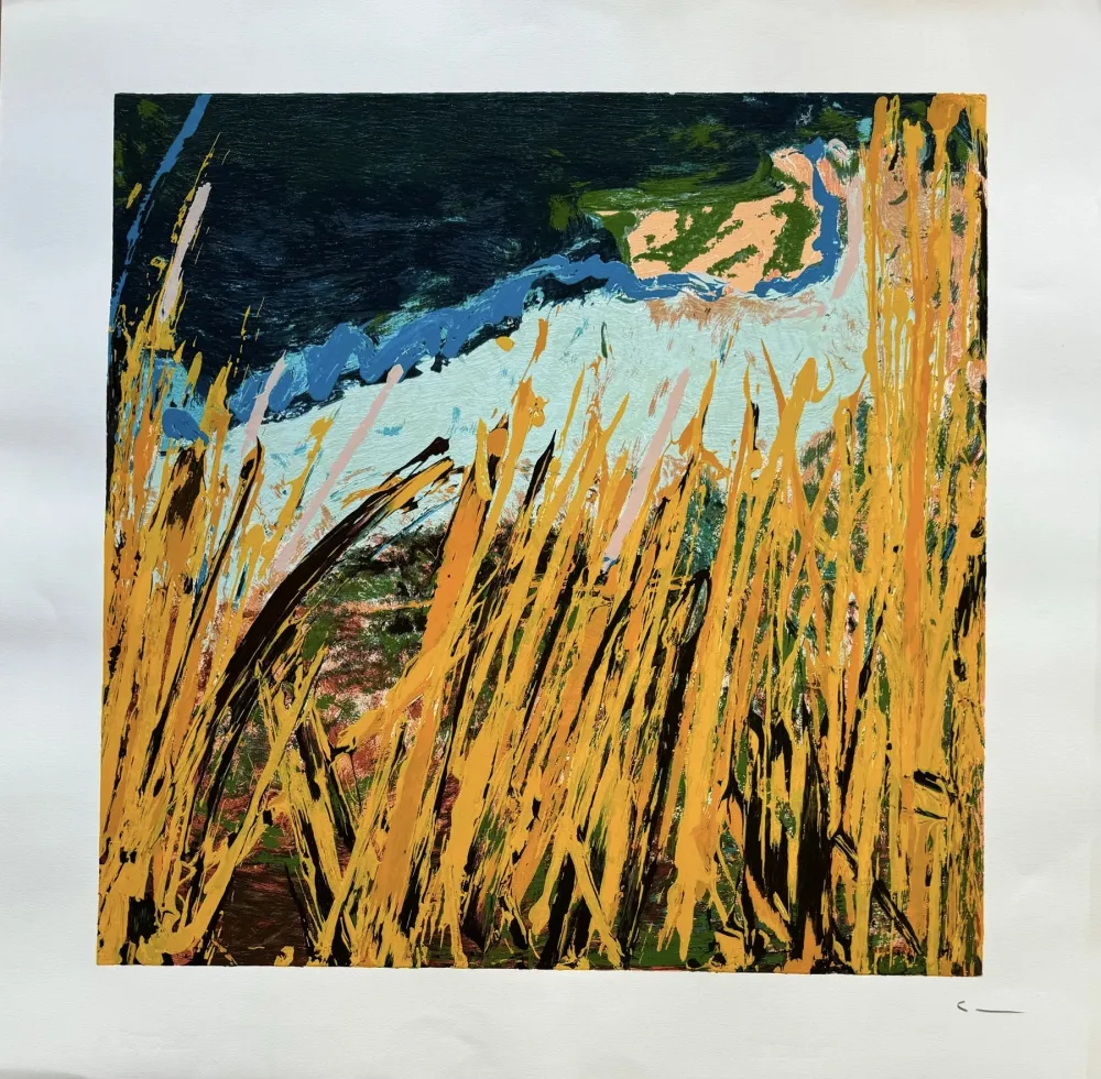 Litografía Schifano - Mario Schifano (1934–1998) - Campi da terra - Enamel screen printing - 1990