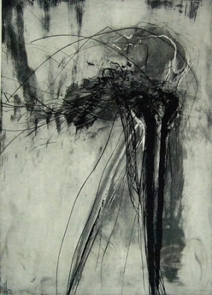 Punta Seca Schober - Richiamo