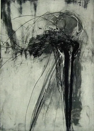 Punta Seca Schober - Richiamo