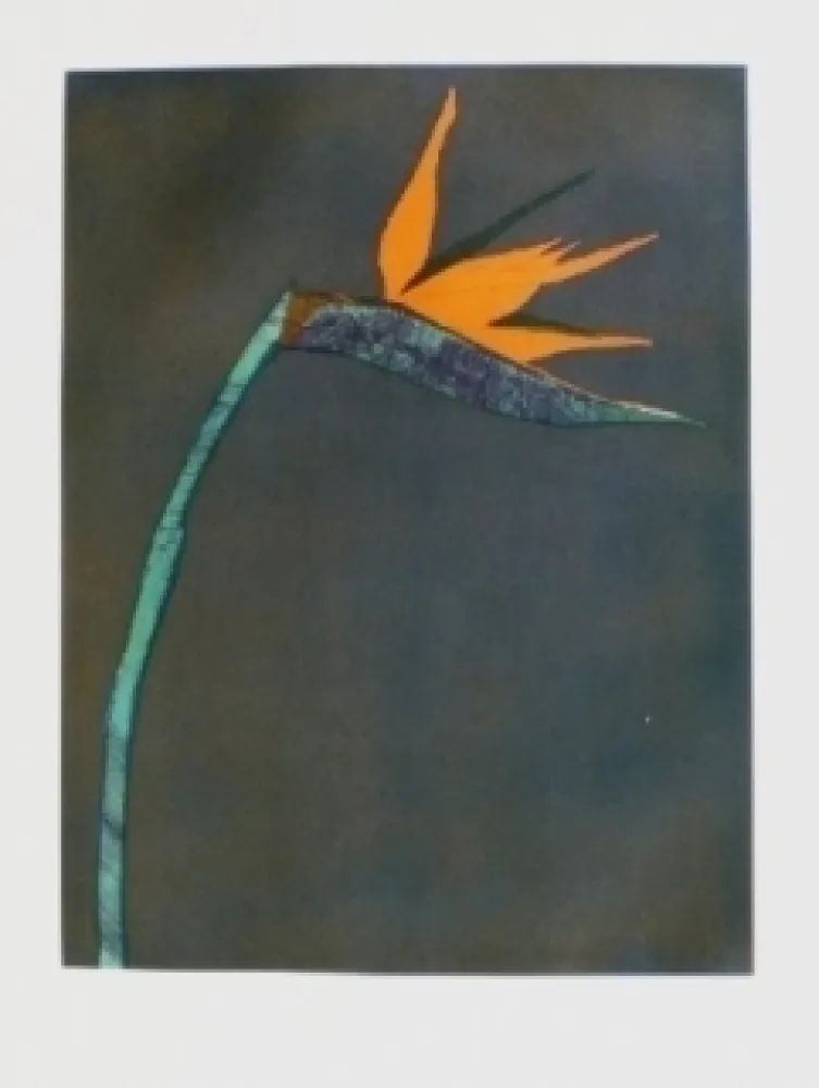 Grabado Scholder - Flower at Barcelona