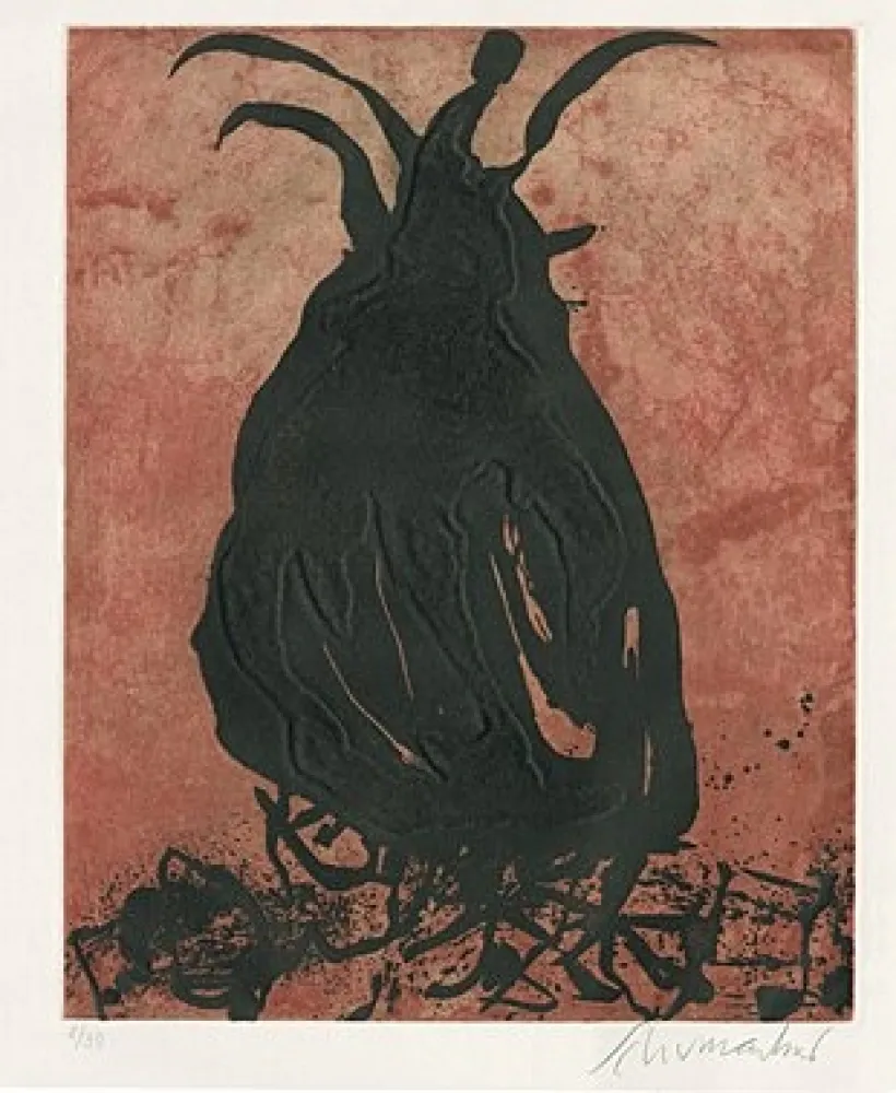 Aguafuerte Y Aguatinta Schumacher - 