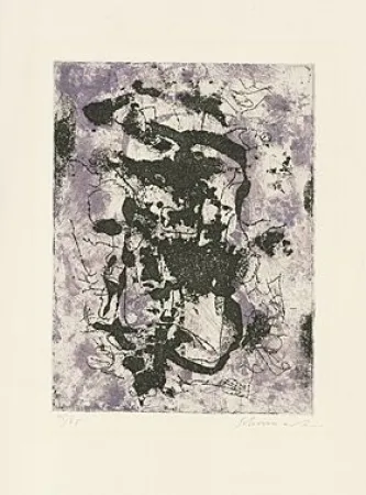 Sin Técnico Schumacher - 