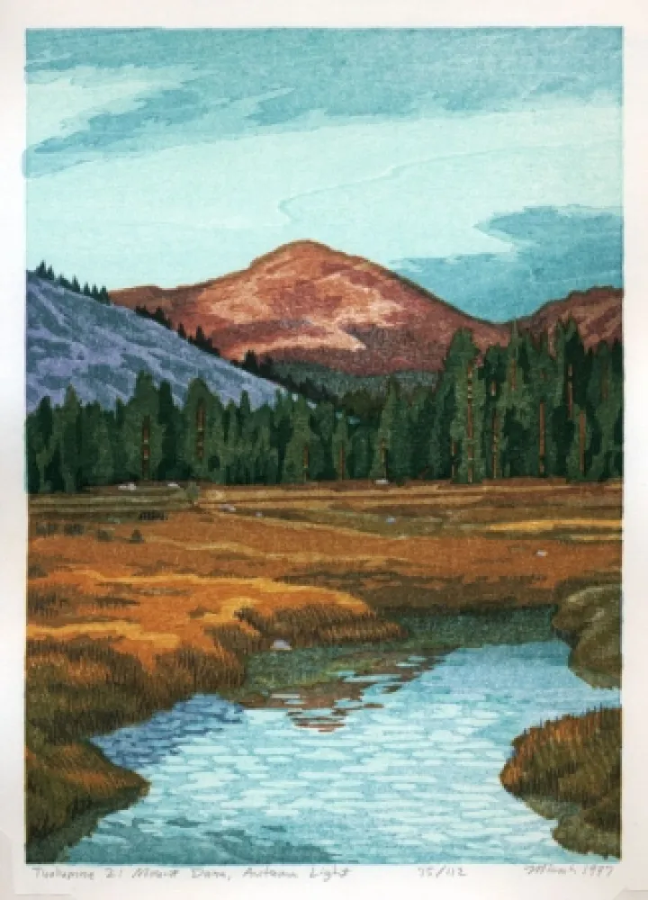 Grabado En Madera Schwaberow - Tuolumne 2: Mount Dana, Autumn Light