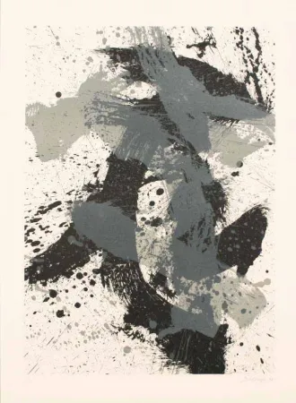 Litografía Scialoja - GEOGRAFIA