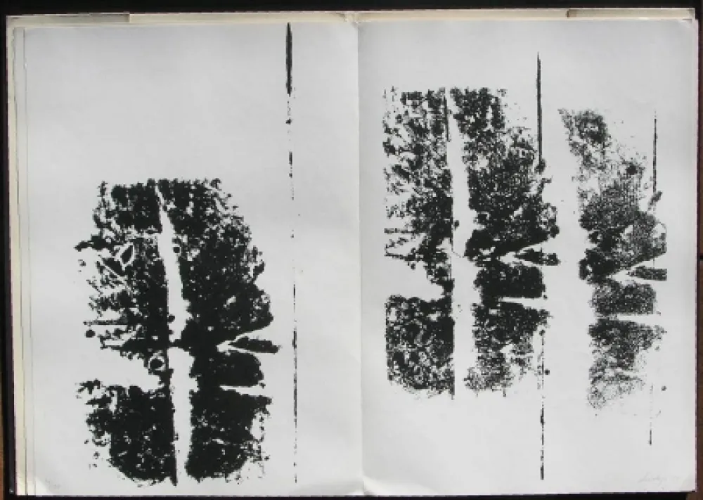 Libro Ilustrado Scialoja - Toti Scialoja. Quattro litografie