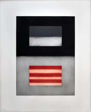 Aguafuerte Y Aguatinta Scully - Liliane 7