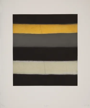 Aguatinta Scully - Yellow