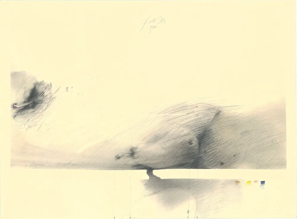 Sin Técnico Sensen - Birnen — Mettnau 1