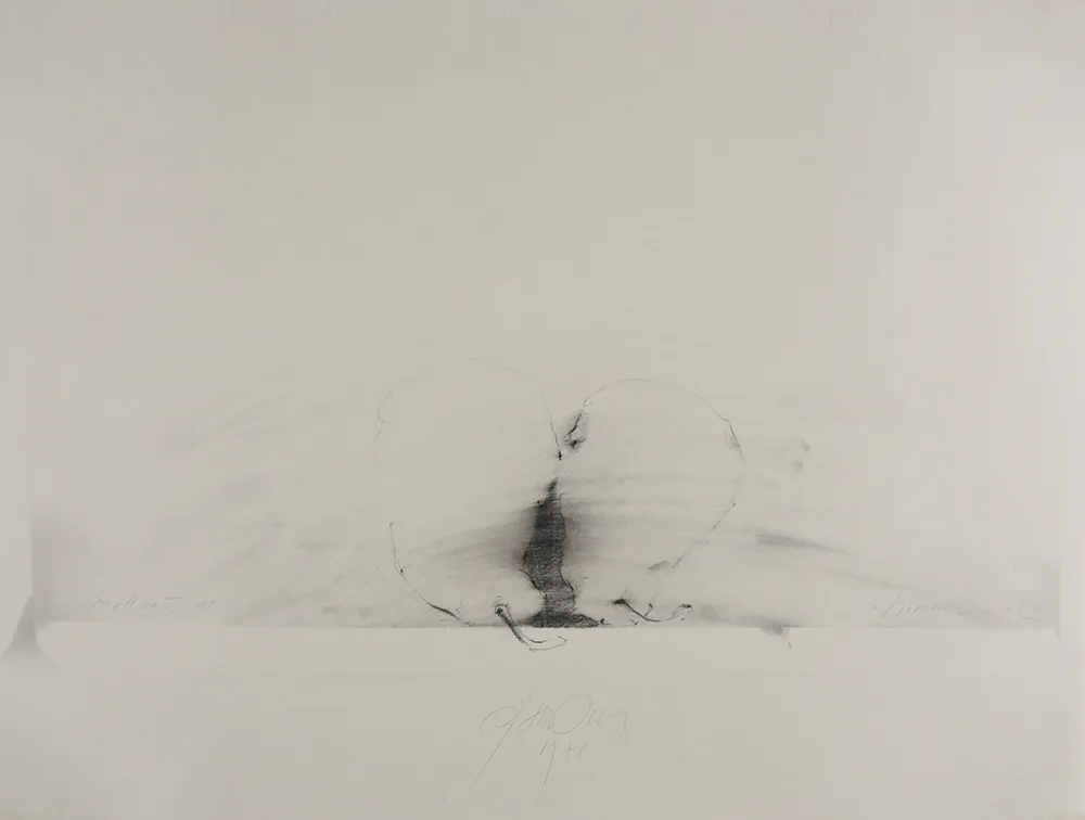 Sin Técnico Sensen - Mettnau 11.  Birnen-vaginal