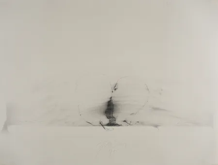 Sin Técnico Sensen - Mettnau 11.  Birnen-vaginal