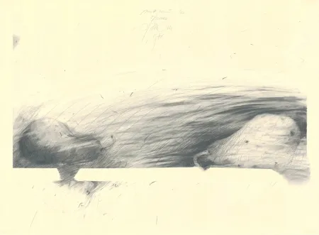 Sin Técnico Sensen - Mettnau 12 — 2 Birne