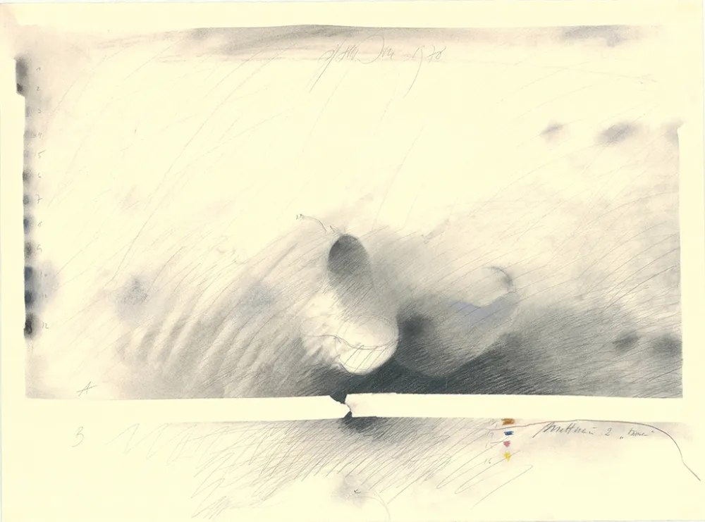 Sin Técnico Sensen - Mettnau 2 — Birne