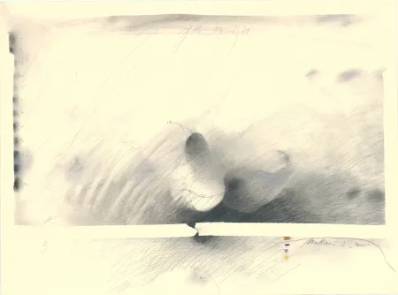 Sin Técnico Sensen - Mettnau 2 — Birne