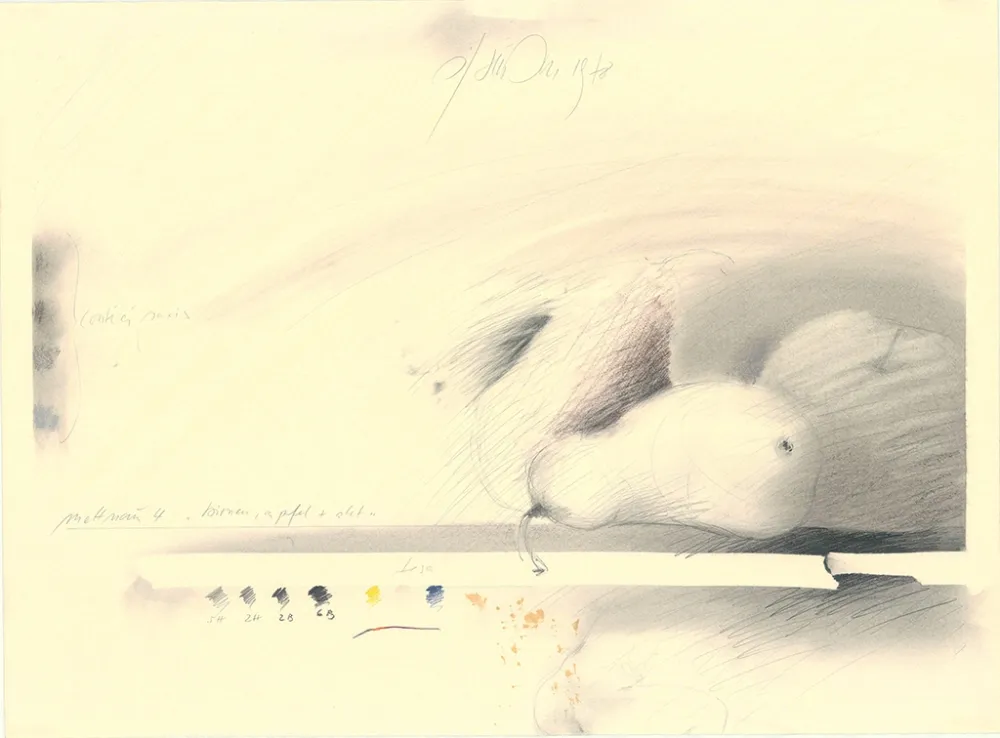 Sin Técnico Sensen - Mettnau 4—Birnen, Apfel + Akt