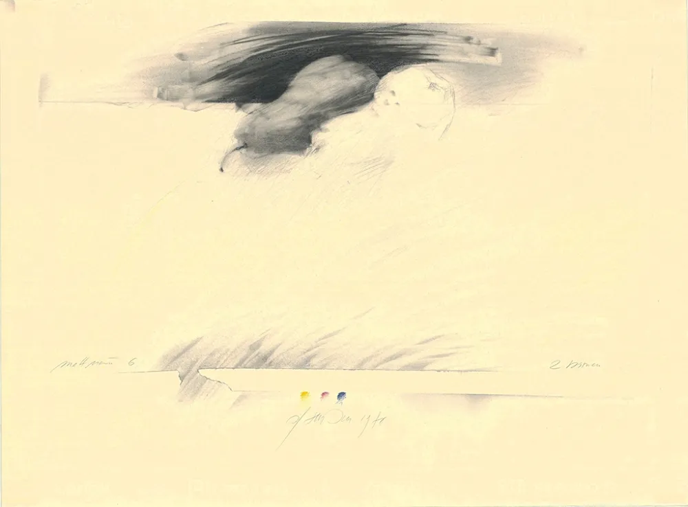 Sin Técnico Sensen - Mettnau 6— 2 Birnen