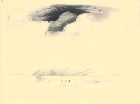 Sin Técnico Sensen - Mettnau 6— 2 Birnen