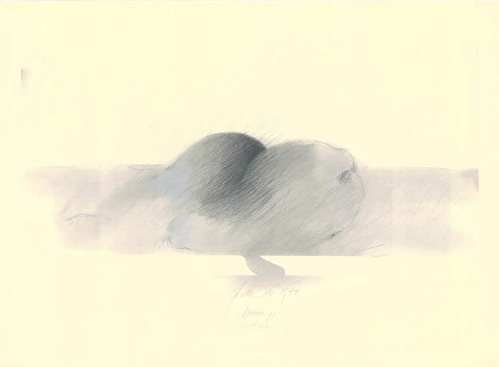 Sin Técnico Sensen - Mettnau 9.  Birnen po