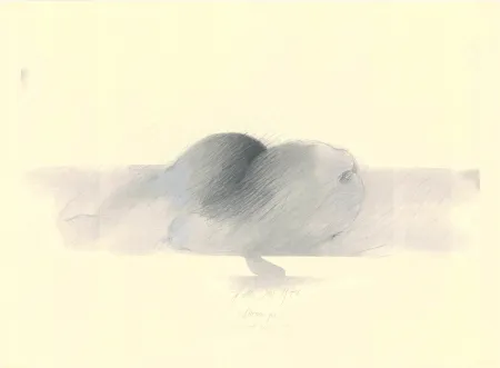 Sin Técnico Sensen - Mettnau 9.  Birnen po